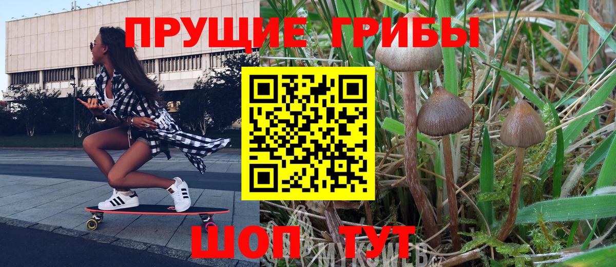 Галлюциногенные грибы Cubensis Старая Русса
