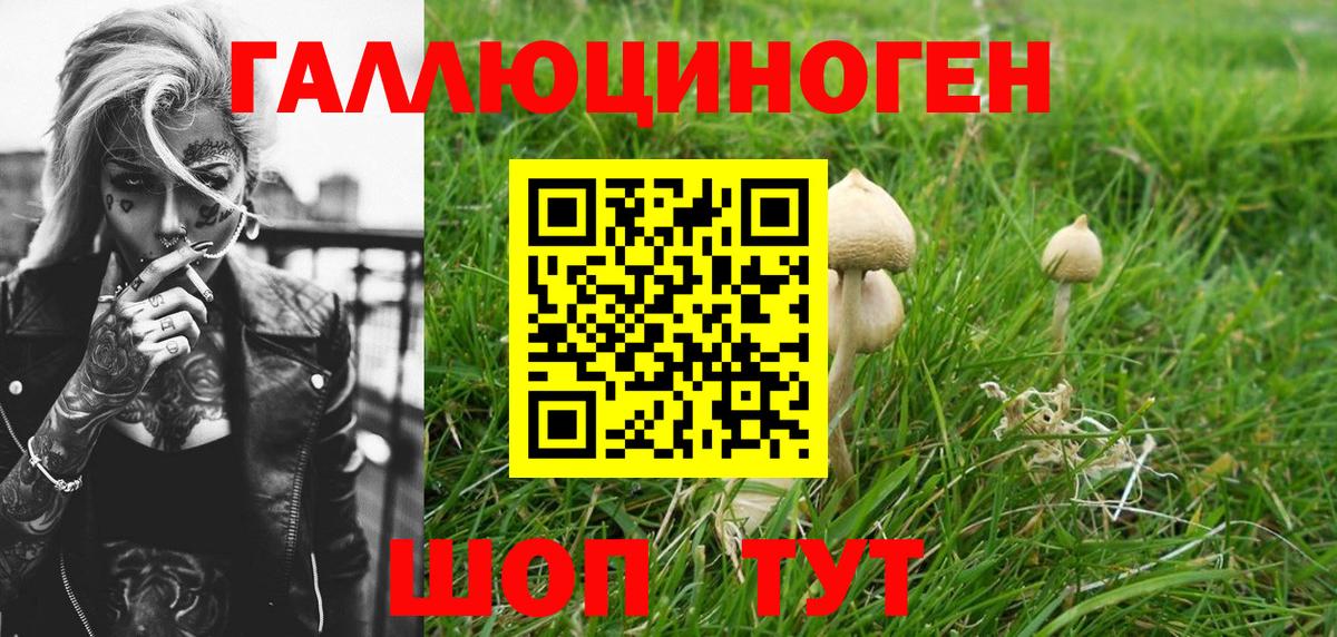 Галлюциногенные грибы прущие грибы  Вход с VPN  Старая Русса 